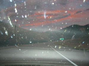 Bugs on the windshield